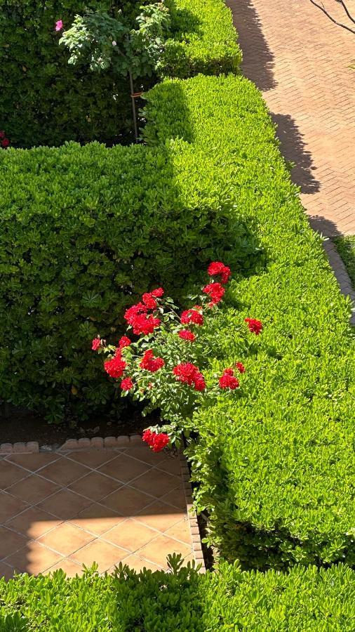 La Rosaleda 17 Apartment Denia Bagian luar foto